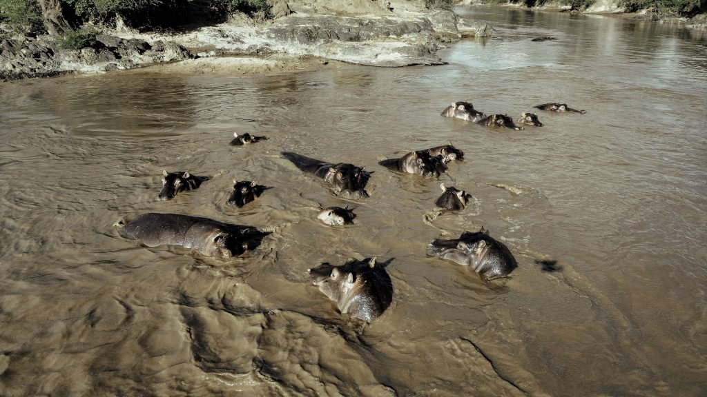 18-Day Grand East African Safari