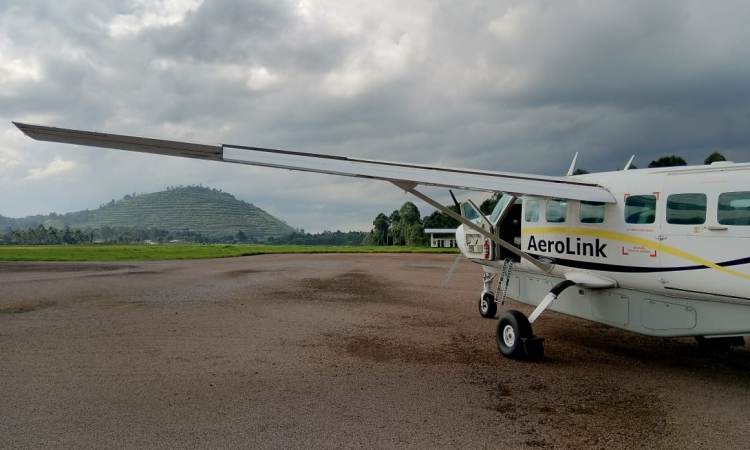 3-Day Fly-In Gorilla Safari in Bwindi Uganda