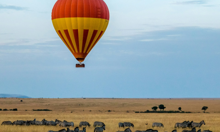 6-Day Luxury Gorilla Trekking and Masai Mara Safari Adventure