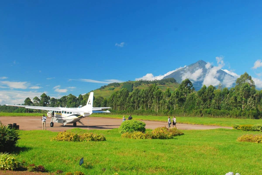 Detailed 7-Day Uganda Luxury Safari Itinerary