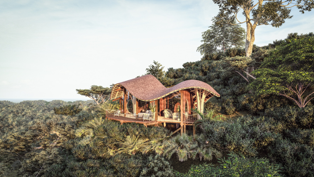 Asilia Erebero Hills Uganda – Eco-Luxury Lodge near Bwindi Impenetrable National Park