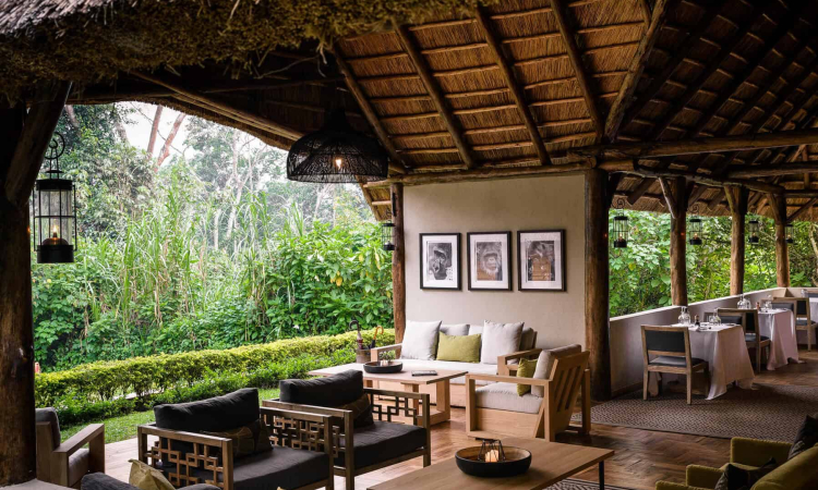 Best 10 Luxury Gorilla Trekking Lodges in Bwindi Uganda