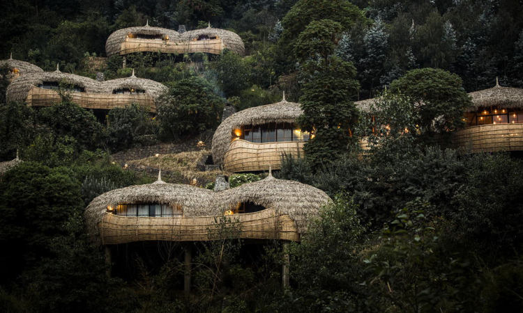 Best 10 Luxury Gorilla Trekking Lodges in Rwanda's Volcanoes National Park