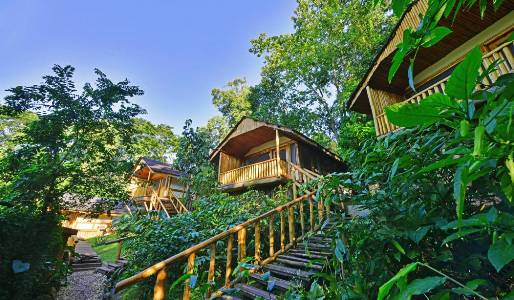 Buhoma Lodge Uganda – Luxury Stay near Bwindi Impenetrable National Park