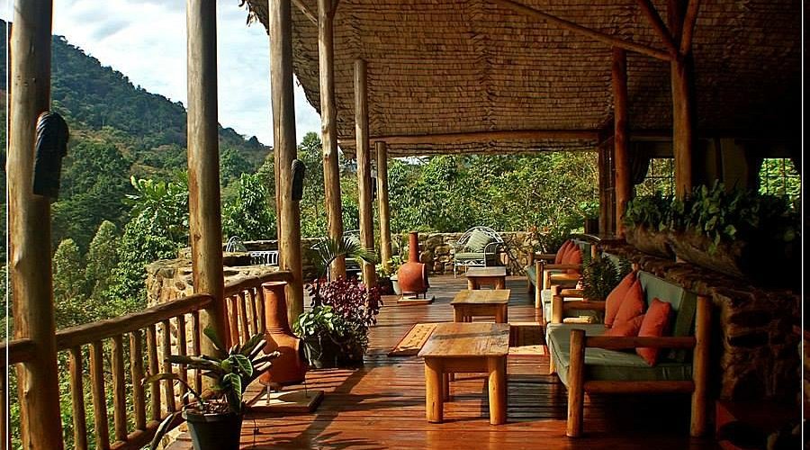Engagi Lodge Uganda – Eco-Luxury Stay in Buhoma Sector Bwindi