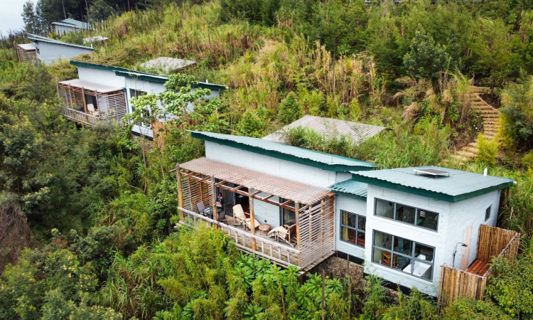 Kiho Gorilla Safari Lodge Uganda – Luxury Stay in Ruhija Sector Bwindi