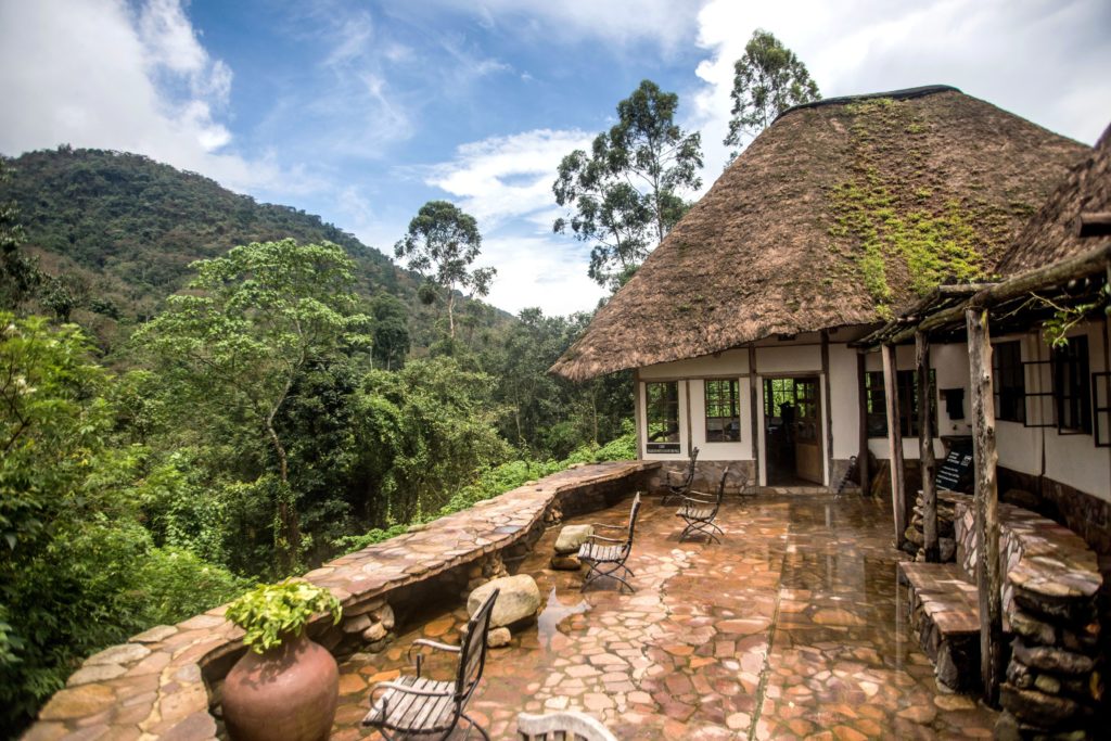 Volcanoes Bwindi Lodge Uganda – Luxury Stay near Bwindi Forest